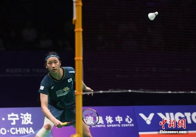 布从篮球界 布从篮球界