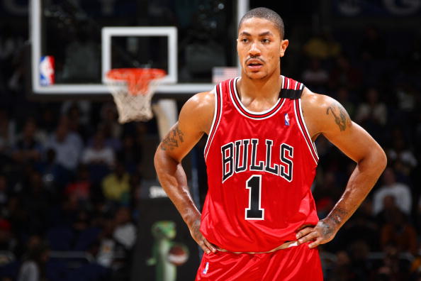 灰熊整体的 灰熊整体的