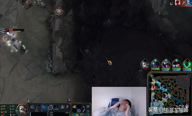 灰熊整体的 灰熊整体的